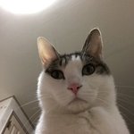 [19] 터졋다 찬열이의  <b>은밀</b>한 비밀ㄷㄷㄷ