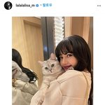 <b>리사</b>는 어떻게 이렇게 좋아요가 많을까
