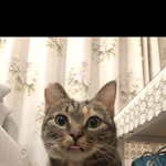 우리 <b>호식</b>이 사랑해