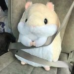 [댓글부탁해] 얘드라 <b>성덕</b>썰 풀어보쟈