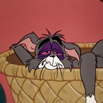 [ㅈㄱㄴ] 고3 <b>폴더</b>로 바꾸는거 어때??