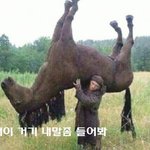 [댓글부탁해] 내 방에서 <b>홀애비</b> 냄새 나는데 어캄