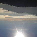 [독극물백신] 革命的글쓰기-코로나‘백신’反對