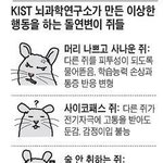 [드루와] 근데 강아지 함부로 버리면 안되지 않음?