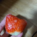 [NCT즌] ㅅㄷ)ㅈㄴ 딸기가 <b>모자</b>같노.