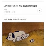 [모두드루와] <b>엠넷</b>에서 방탄 특집해서 봤는데