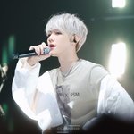 모두들 투<b>페스트</b> 백현을 봐주세요