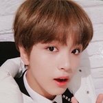 [NCT즌] 여기 포카 시세 물어봐도 돼??