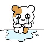야 나만 이 말 조카 기분 나쁘냐