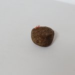 [반려동물] 개<b>사료</b>에 이물질이 밖혀있는데요 ㅠ