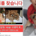 야이거 초 1짜리가 강아지 <b>납치</b>해서 학대한거봤냐
