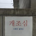 얘들아 방 <b>벽지</b> 핑크색 별로야?