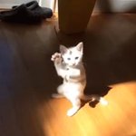 [방탄소년단] 이거 <b>지민이</b>같지