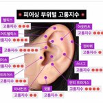 [댓글부탁해] 귀 어디 뚫을깡