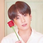 정국 <b>장미꽃</b>