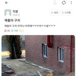 오늘자 에타... <b>캣맘</b>의 반응과 후기..jpg