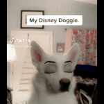 [드루와] 걍 남사친밖에 없는 찐따들은 <b>백퍼</b> 성격에 하자있음