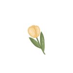 [댓글부탁해] 너넨 <b>진로</b>가 뭐임