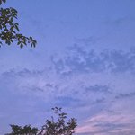 ㅇㄴ 수학 나형에 과<b>탐</b>이면