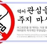 [방탄소년단] <b>피뎁</b>따는법