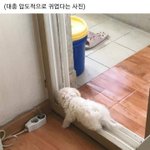 신발