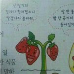 [드루와] <b>야들</b>아 너네집에서 혼자 화장하고 사진찍음?