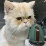 [댓글부탁해] <b>라식</b> 해본사람??? 질문ㅠㅠㅠ