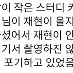 [NCT즌] 정재현 <b>디어</b>엠 보조스텝 실물후기