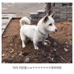 [댓글부탁해] <b>왓챠</b> 영화나 드라마 추천해주라❤️❤️