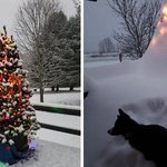 현실 부정 하게 되는 <b>폭설</b>...