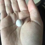 조카 똥글<b>동글</b>해