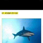 [댓글부탁해] 아오 나 코로<b>난가</b> ㅈㄴ아픔