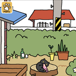 우리 집에 <b>고앵이</b>들이 놀러왔어요