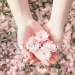 오늘이 그런 날이에요