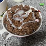 [댓글부탁해] 오랫동안 꿈꿔왔던걸 실현했어