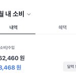 [19] 한달에 26만원이면 많이 쓰는거임??