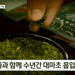 ㅅㅂ 이제 정일훈이랑 친목한 <b>연옌</b> 다 끌고 오겠네;