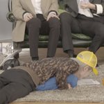 [NCT즌] 턔용이는 왜 궁<b>댕이</b>가 없을까?