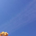 [댓글부탁해] 유튜버 추천해볼겡