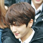 더비들아 나 죽을것가타 제발