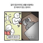 [19] 나만 손 심심하면 <b>소중</b>이 털 만짐..?