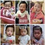 [방탈죄송] 16개월 입양아 글 <b>자동</b>삭제
