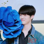 [펜타곤] 갑자기 궁금