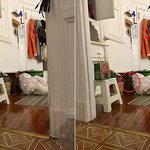 숨은 고양이 찾기 게임! 어려움주의