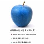 [펜타곤] 이거 뭐야 <b>겁나</b> 잘맞네;;;