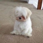 [댓글부탁해] 전<b>남친</b><b>문제</b> 조언좀 부탁해