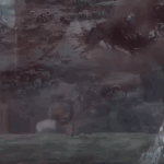 [ㅈㄱㄴ] <b>뒤</b>에서 <b>돌</b>굴려오는거 ㅈㄴ쇠똥구리같아