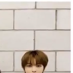[NCT즌] <b>성차</b>니 덮머했어!!!!!