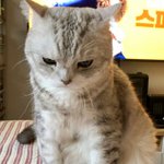 [댓글부탁해] 우리 코로나여서 <b>심심</b>한데 4