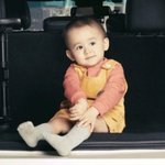 벤<b>토리</b>로 눈정화